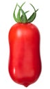 San marzano tomato, fresh, paths Royalty Free Stock Photo