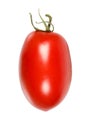 San Marzano tomato isolated Royalty Free Stock Photo