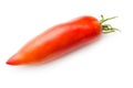 San Marzano tomato Royalty Free Stock Photo