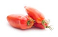 San Marzano tomato Royalty Free Stock Photo