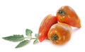 San Marzano tomatoes Royalty Free Stock Photo