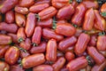 San Marzano tomatoes Royalty Free Stock Photo