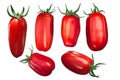 San Marzano tomatoes