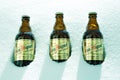 San Miguel beer bottles in snow Royalty Free Stock Photo