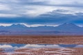 Beautiful landscape with shallow lagoon and snowy mountains in Atacama Royalty Free Stock Photo