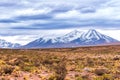 Beautiful landscape in Atacama with desertic prairie and snowy volcanic peaks