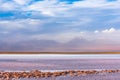 Beautiful landscape with snowy volcanic peaks and the shore of Tebinquinche lagoon in Atacama desert