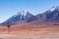 Road sign in front of snowy volcanic peaks in Atacama desert