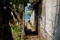 Local man with cowboy hat walking down a small path to the lake Atitlan in San Pedro la Laguna, Guatemala