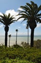 San Pedro, Point Fermin Park, Los Angeles Royalty Free Stock Photo