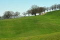 SAN QUIRICO D`ORCIA, TUSCANY / ITALY - MAR 31, 2017: typical tuscan landscape near San Quirico d`Orcia, with green rolling hills Royalty Free Stock Photo