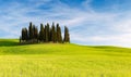 SAN QUIRICO D`ORCIA, TUSCANY ITALY with rolling hills and tuscan cypress trees. Located in Val D`Orcia countryside. Royalty Free Stock Photo