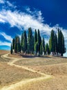 San Quirico d\'Orcia Val d\'Orcia Tuscany Italy. The typical cypresses trees