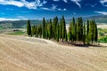 San Quirico d\'Orcia Val d\'Orcia Tuscany Italy. The typical cypresses trees