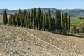 SAN QUIRICO D'ORCIA, TUSCANY / ITALY - OCTOBER 31, 2016: Beautiful tuscan landscape near San Quirico d'Orcia Royalty Free Stock Photo