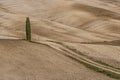 SAN QUIRICO D'ORCIA, TUSCANY / ITALY - OCTOBER 31, 2016: Beautiful tuscan landscape near San Quirico D'Orcia Royalty Free Stock Photo