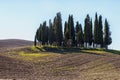 SAN QUIRICO D'ORCIA, TUSCANY / ITALY - OCTOBER 31, 2016: Beautiful tuscan landscape near San Quirico D'Orcia Royalty Free Stock Photo