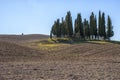 SAN QUIRICO D'ORCIA, TUSCANY / ITALY - OCTOBER 31, 2016: Beautiful tuscan landscape near San Quirico D'Orcia Royalty Free Stock Photo