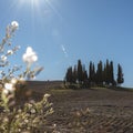 SAN QUIRICO D'ORCIA, TUSCANY / ITALY - OCTOBER 31, 2016: Beautiful tuscan landscape near San Quirico D'Orcia Royalty Free Stock Photo