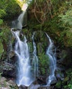 San Ramon Waterfall, Boquete, Chiriqui, Panama Royalty Free Stock Photo