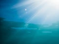 San rays in underwater. Turquoise texture in tropical sea. Royalty Free Stock Photo