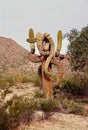 San Tan Mountains Sonora Desert Arizona On Film