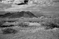 San Tan Mountains Sonora Desert Arizona in Monochrome