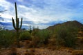 San Tan Mountains Sonora Desert Arizona