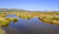 San Teodoro pond Royalty Free Stock Photo