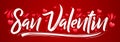 San Valentin, Valentines day spanish text