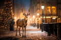 Sana\'s magic deer walks down the street of Christmas town