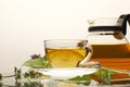 Sanative tea Royalty Free Stock Photo