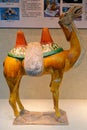 a sancai-glazed pottery figure of a camel at Museum in Beijing, China