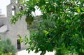 Sanctified fruit. Green garnet on the background of the Church. Female monastery Beska. Bogoroditsa. Murichi. Montenegro