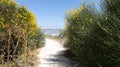 Sand access path fence beach entrance to the atlantic sea in La Rochelle ocean france