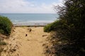 Sand access to french sea beach of atlantic ocean in summer day