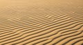 The sand appears golden brown typical of desert environments Royalty Free Stock Photo