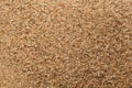 Sand background