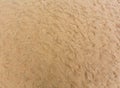 Sand background with barely visible waves.