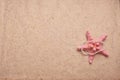 Sand Background with Pink starfish and pearls Royalty Free Stock Photo