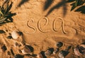 sand background summer vacation sea word seashell Royalty Free Stock Photo