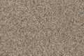 Brown, sand background texture, closeup, clean beach Royalty Free Stock Photo