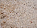 Sand background texture. Royalty Free Stock Photo