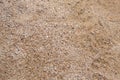 Sand background texture. Royalty Free Stock Photo