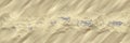 Sand background top view, desert or beach texture with golden sandy waves or dunes. Ocean or sea bottom Royalty Free Stock Photo