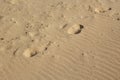 Sand background with wavelike patterns, footprints and seashells Royalty Free Stock Photo