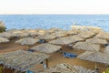 sand beach with beach chairs and white straw umbrellas in tropical resort in Red Sea coast in Sharm El Sheikh, Egypt, Africa. Royalty Free Stock Photo