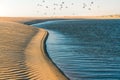 Sand beach, blue river, and flock of flying pelicans.