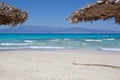 Sand beach, Chrissi island in Crete, Greece. Royalty Free Stock Photo