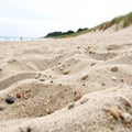 Sand beach closeup texture or background Royalty Free Stock Photo